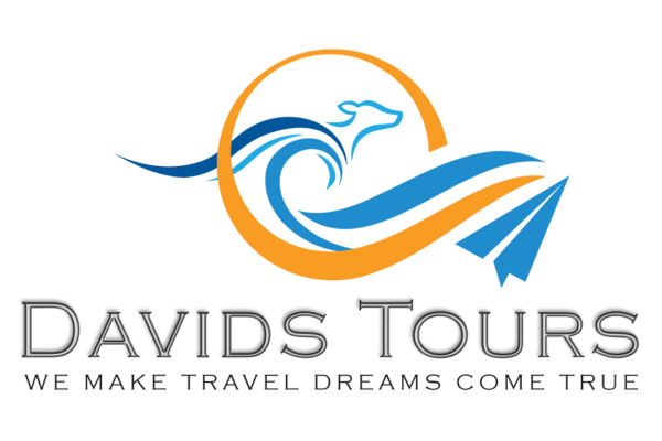 David Tours